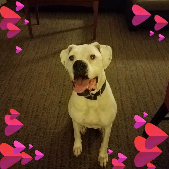 Meet your Posher, Angela - Picture 1 of 1